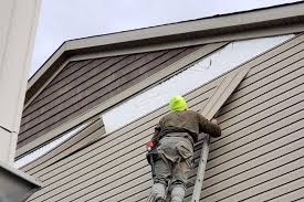 Reliable Nevada, MO Siding Solutions